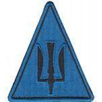 Шеврон ВВС (трезубец)