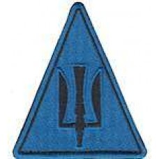 Шеврон ВВС (трезубец)