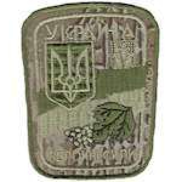 Шеврон Збройні сили варан - 3442609