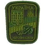 Шеврон Збройні сили олива