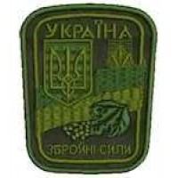 Шеврон Збройні сили олива