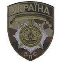 Шеврон ДПС маленький камуфляж