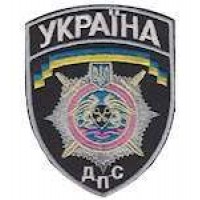 Шеврон ДПС маленький