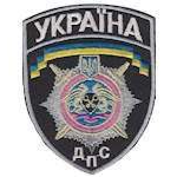 Шеврон ДПС маленький - 3442638