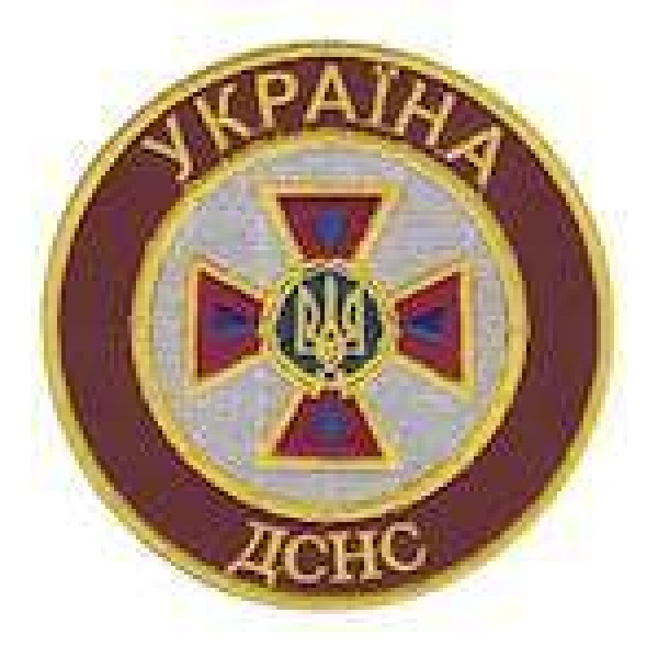 Шеврон ДСНС Україна (бордо) - 3442643