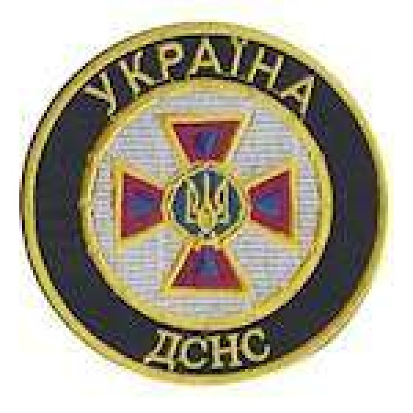 Шеврон ДСНС Україна (тем.синий) - 3442644