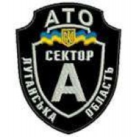 Шеврон Сектор А цветной