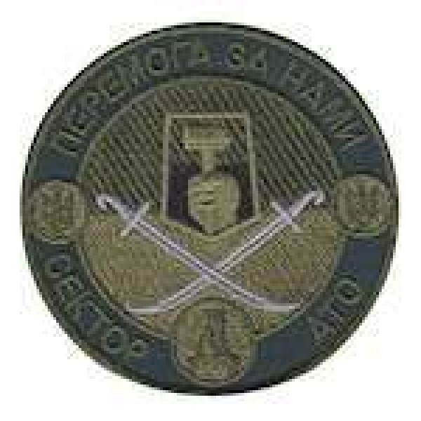 Шеврон Сектор Д - 3442664