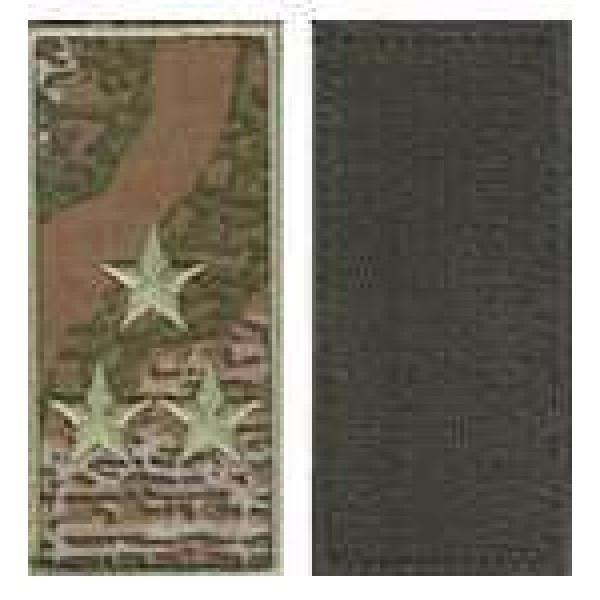 Погони МО липучка вишиті полковник основа варан - 3443045