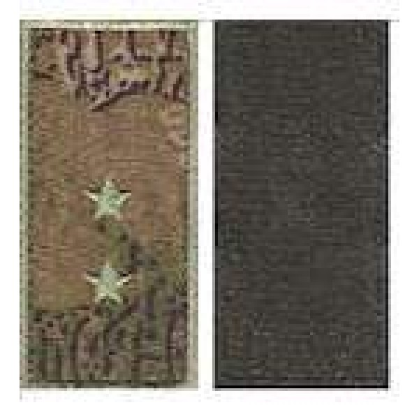 Погони МО липучка вишиті прапорщик основа варан - 3443046