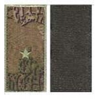 Погони МО липучка вишиті молодший лейтенант основа варан