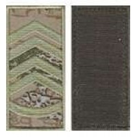 Погони МО липучка європейського зразка прапорщик основа варан