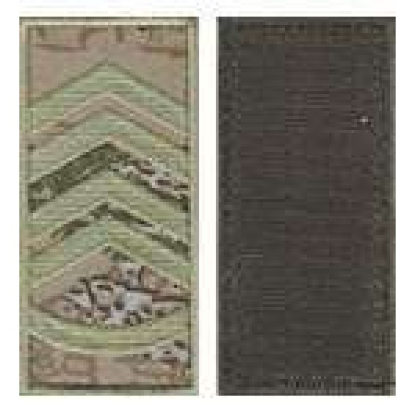 Погони МО липучка європейського зразка прапорщик основа варан - 3443055