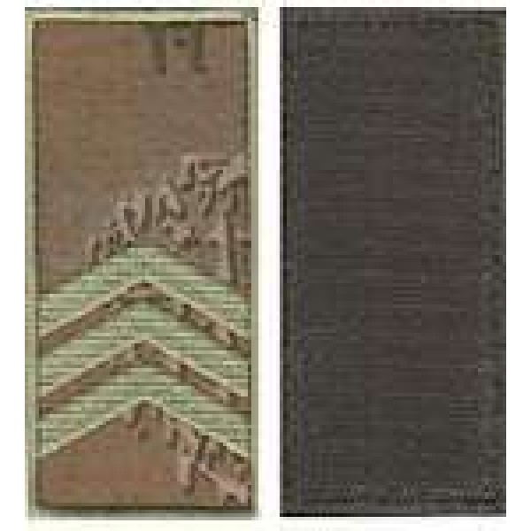 Погони МО липучка європейського зразка сержант основа варан - 3443056