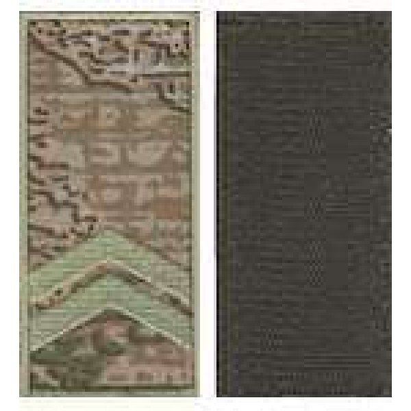 Погони МО липучка європейського зразка молодший сержант основа варан - 3443057