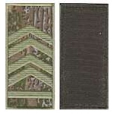 Погони МО липучка європейського зразка старшина основа варан