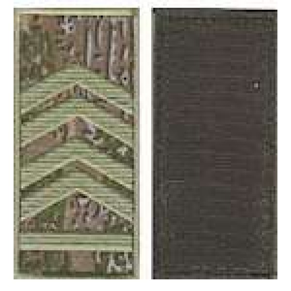 Погоны МО липучка европейского образца старшина основа варан - 3443059