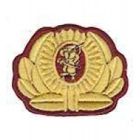 Кокарда козаків