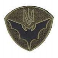 Кокарда на берет военная разведка (олива)