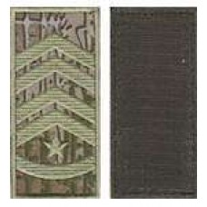 Погоны МО липучка европейского образца старший прапорщик основа варан