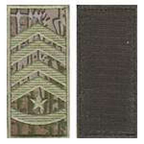 Погони МО липучка європейського зразка старший прапорщик основа варан - 3443066