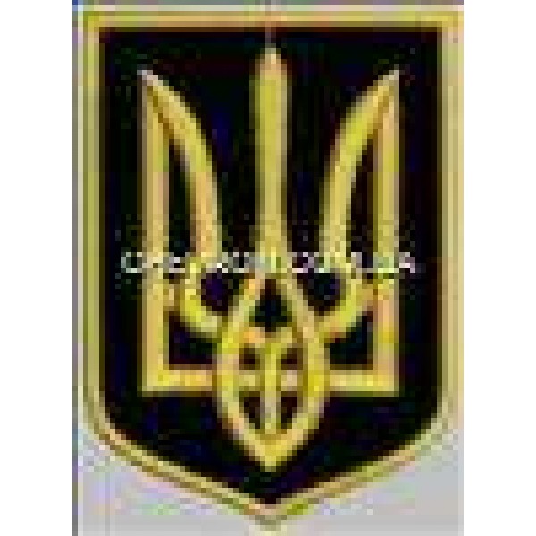 Нашивка Герб Украины чёрно-золотой 6х8 см - 3443069