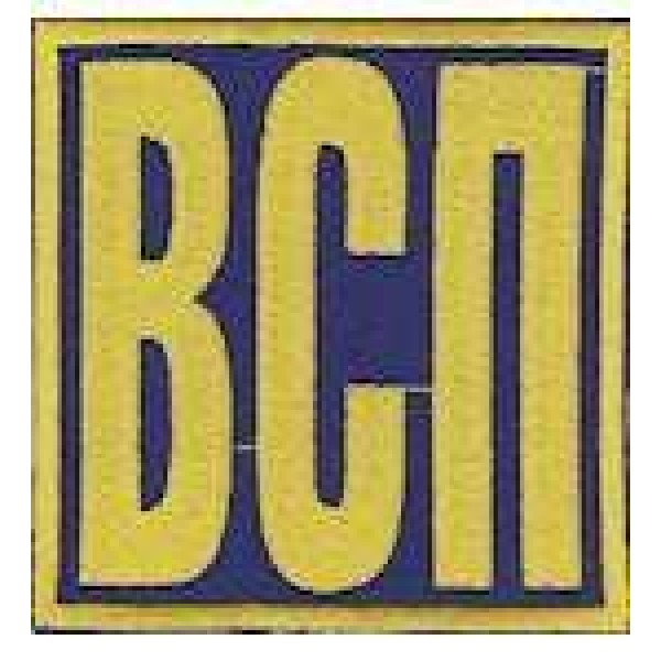 Нашивка ВСП (9х9) - 3443087