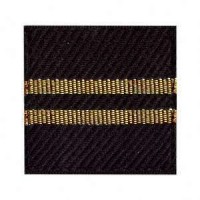 Погончик ДСНС лейтенант