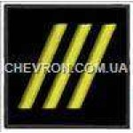 Погончик ДСНС старший прапорщик