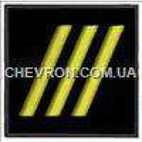 Погончик ДСНС старший прапорщик - 3443104