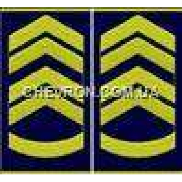 Погоны ВВС муфта вышитые прапорщик - 3443105