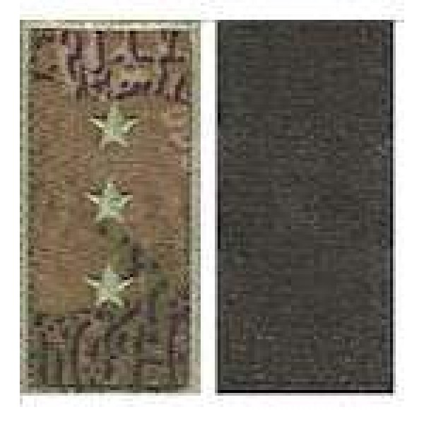 Погоны МО липучка вышитые старший прапорщик основа варан - 3443111