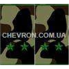 Погоны МО муфта вышитые лейтенант