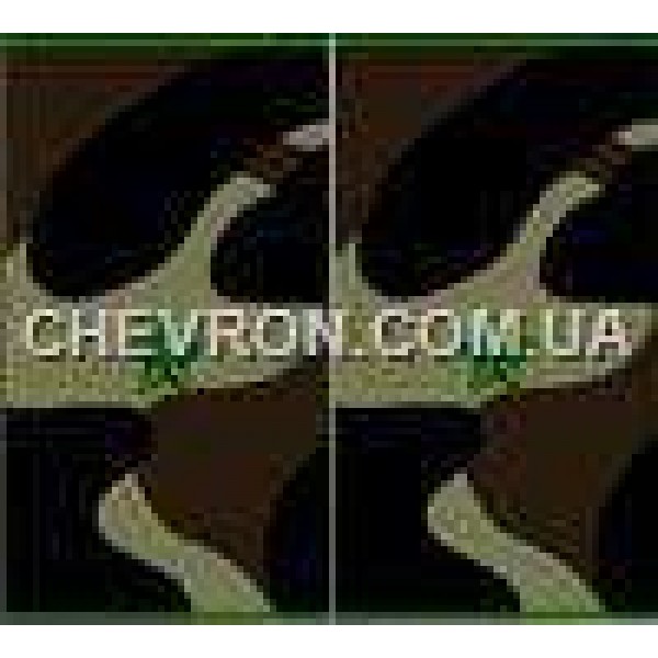 Погони МО муфта вишиті молодший лейтенант - 3443123