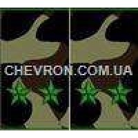 Погони МО муфта вишиті підполковник