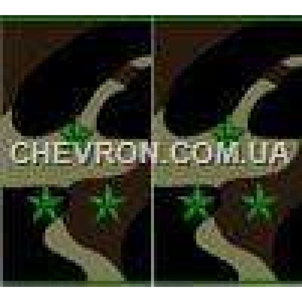 Погоны МО муфта вышитые старший лейтенант - 3443131