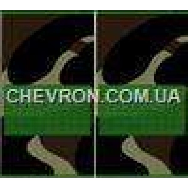 Погоны МО муфта вышитые старший сержант - 3443132