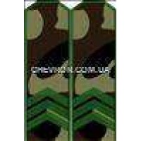 Погоны МО вышитые сержант