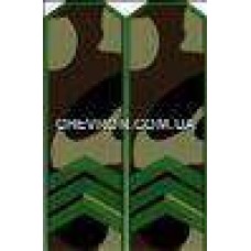 Погоны МО вышитые сержант