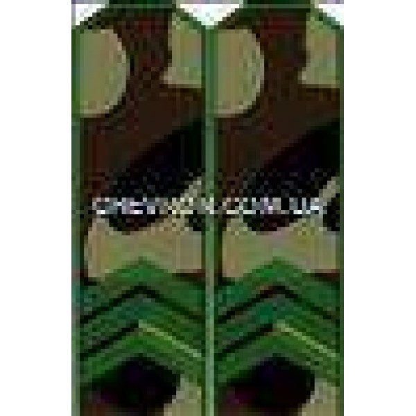 Погони МО вишиті сержант - 3443134