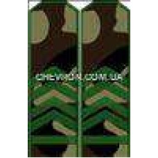 Погоны МО вышитые старшина