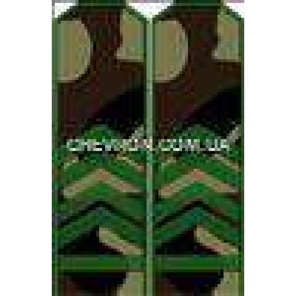 Погоны МО вышитые старшина - 3443135