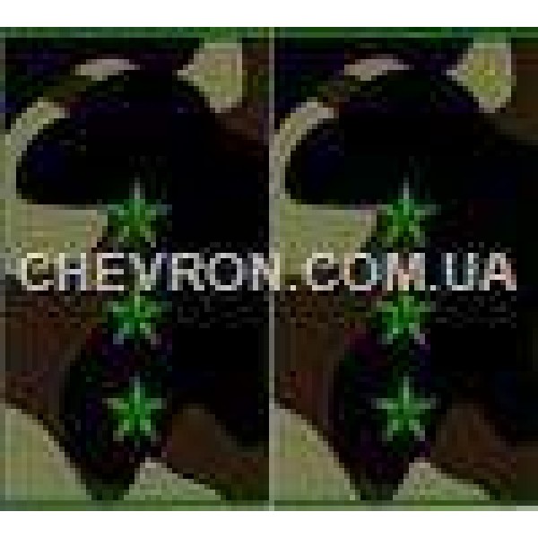 Погоны МО муфта вышитые старший прапорщик - 3443136