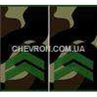 Погони МО вишиті муфта молодший сержант