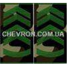 Погоны МО вышитые муфта прапорщик