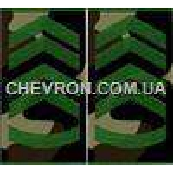 Погоны МО вышитые муфта прапорщик - 3443138