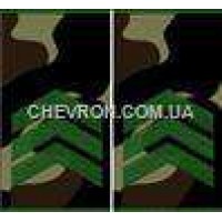 Погони МО вишиті муфта сержант