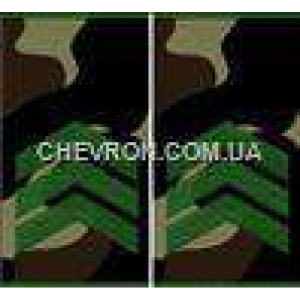 Погоны МО вышитые муфта сержант - 3443139