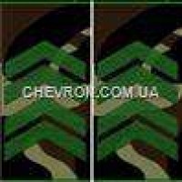 Погоны МО вышитые муфта старший сержант