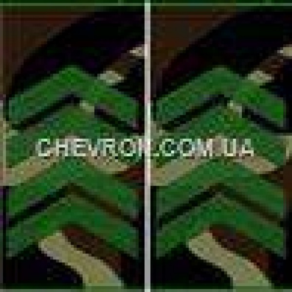 Погони МО вишиті муфта старший сержант - 3443141